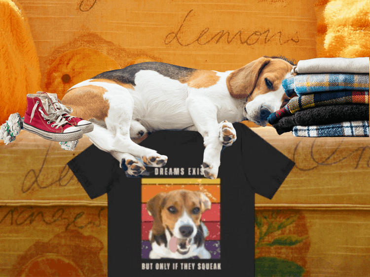 Beagle