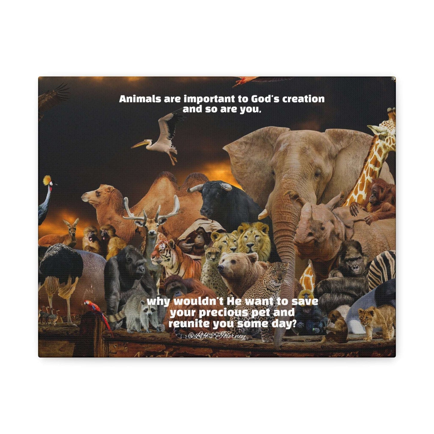 Animals are Important to God Canvas Print