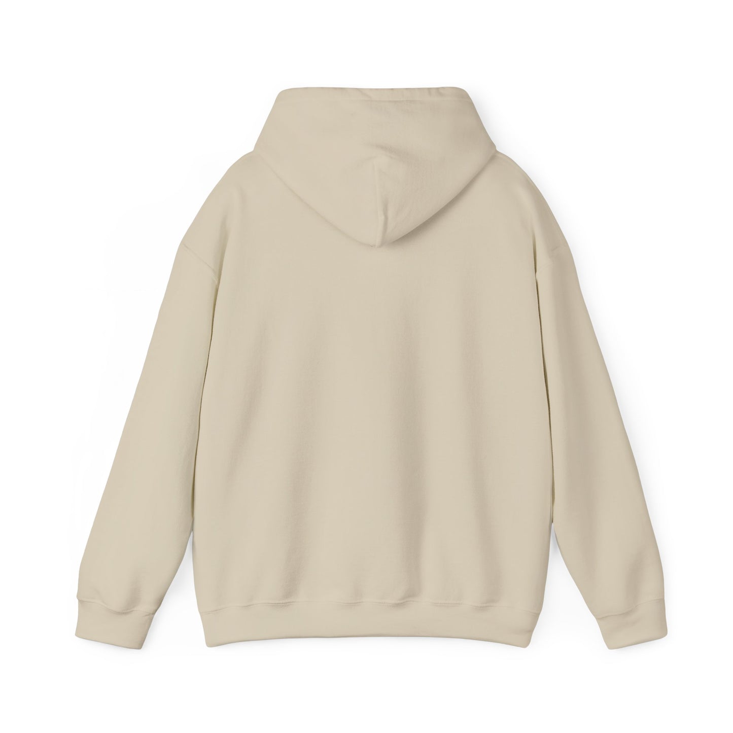 Fear Not Unisex Hoodie - Isaiah 41:10 Reference