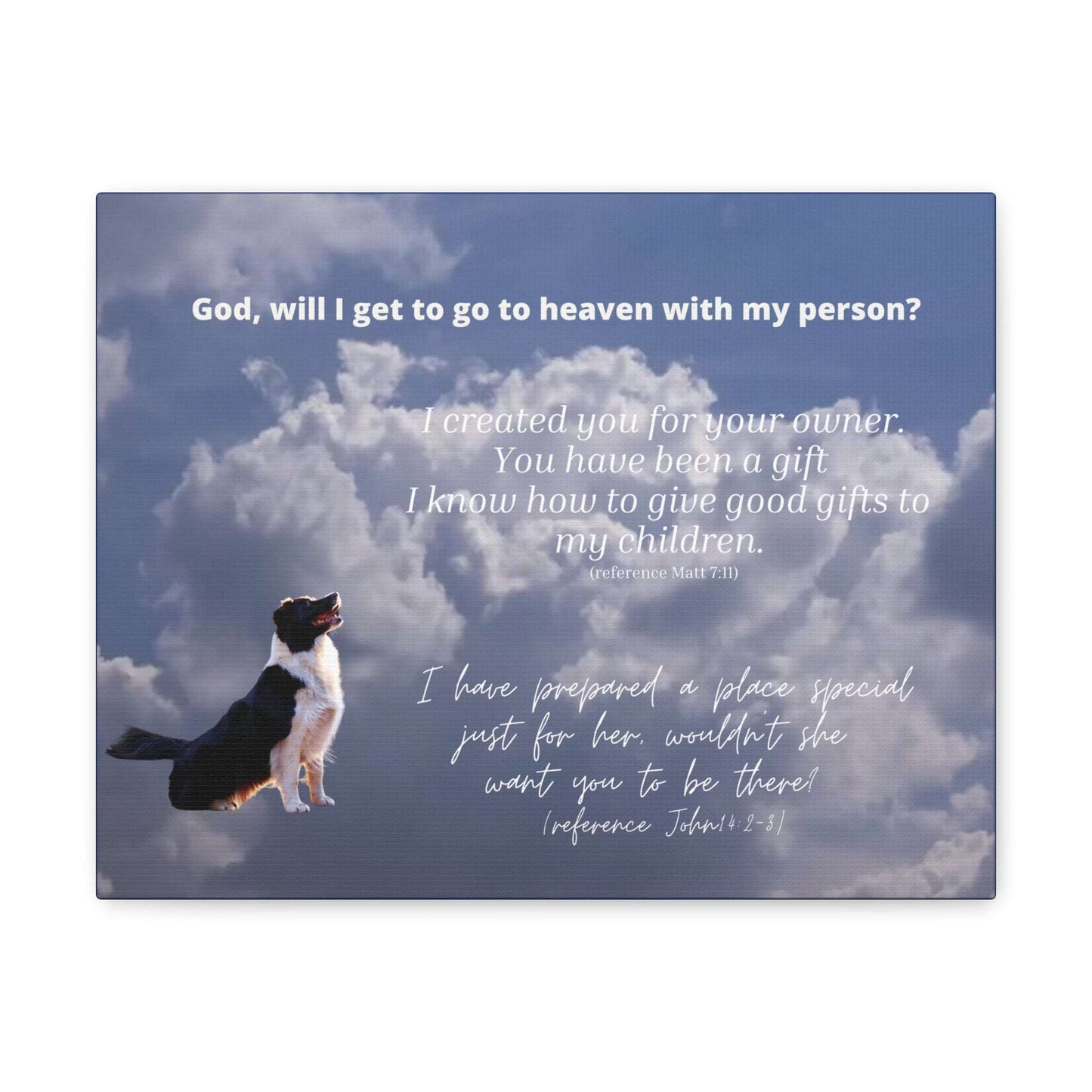 Dog Looks to the Clouds, Asking God If He'll Go to Heaven with His Person