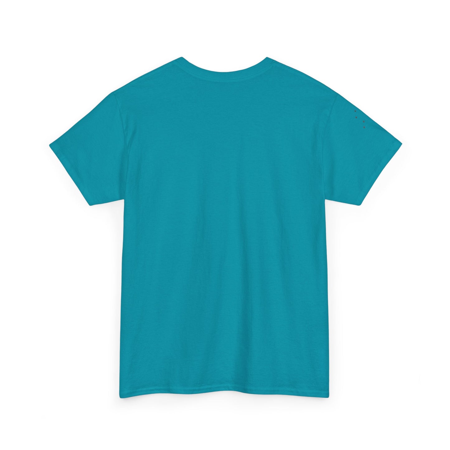 Unisex Heavy Cotton Tee - 'Little Paws, Big Friends' - Perfect for Animal Lovers and Pet Owners