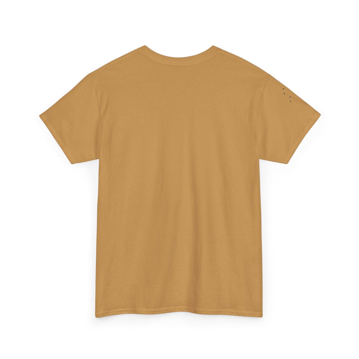 Unisex Heavy Cotton Tee - 'Little Paws, Big Friends' - Perfect for Animal Lovers and Pet Owners