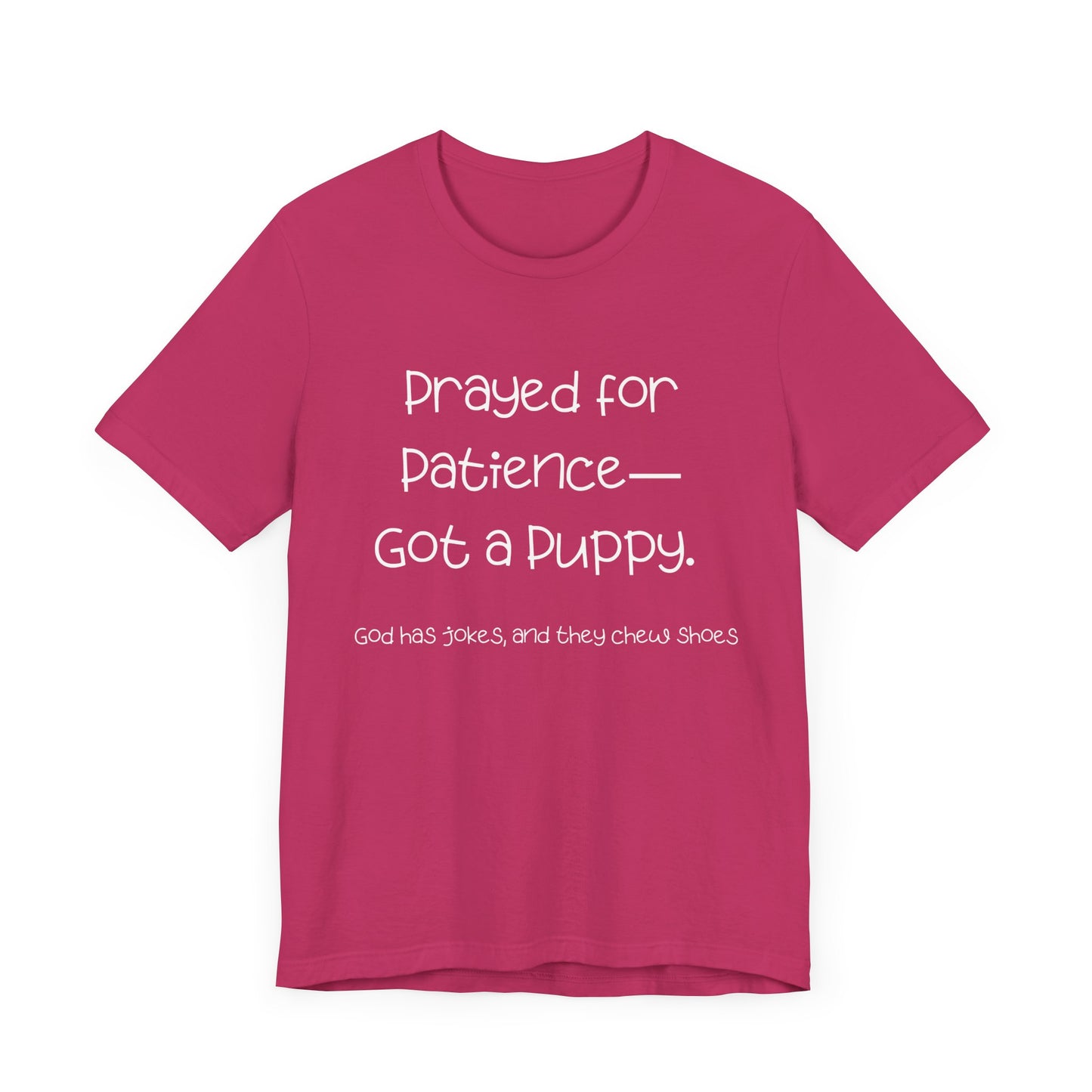 Funny Dog Lover T-Shirt – “Prayed for Patience, Got a Puppy” Christian Pet Humor Tee – God Has Jokes and They Chew Shoes