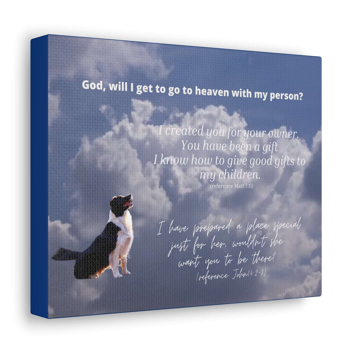 Dog Looks to the Clouds, Asking God If He'll Go to Heaven with His Person