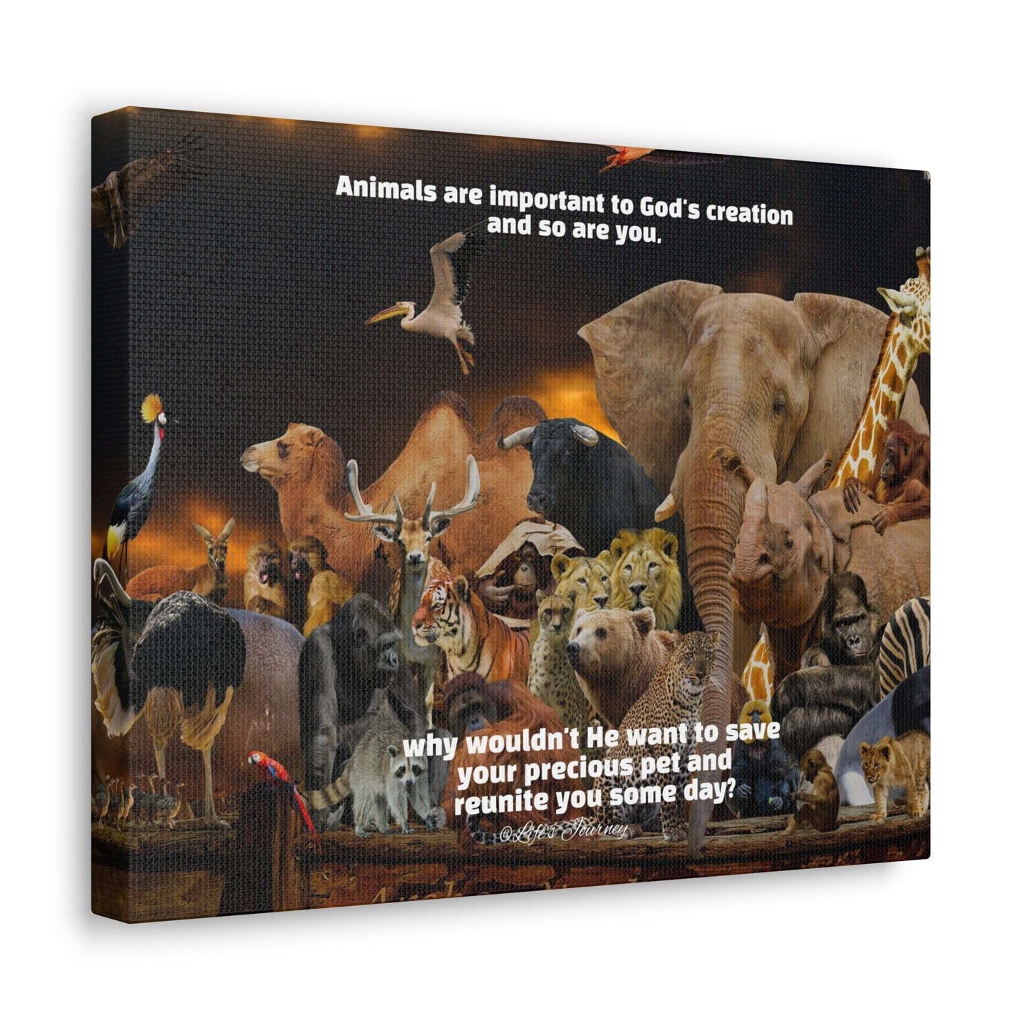 Animals are Important to God Canvas Print