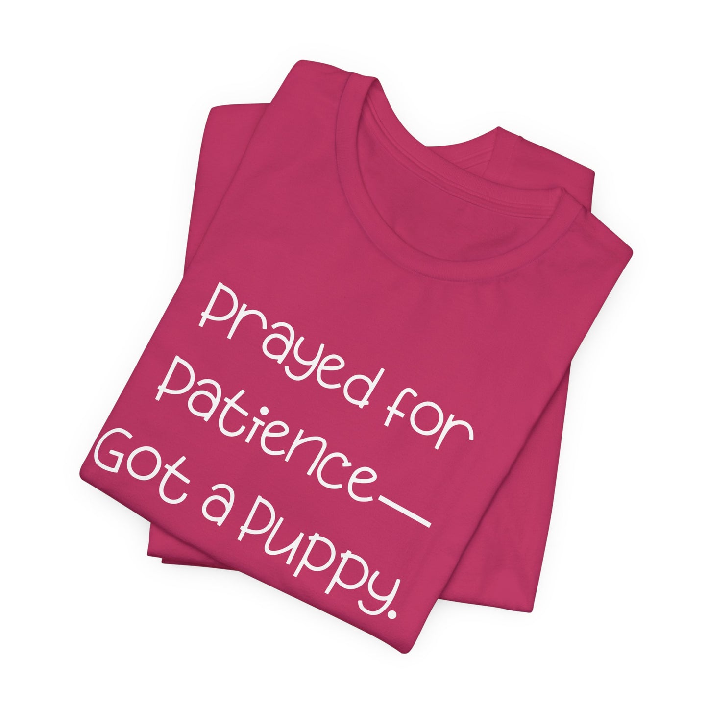 Funny Dog Lover T-Shirt – “Prayed for Patience, Got a Puppy” Christian Pet Humor Tee – God Has Jokes and They Chew Shoes