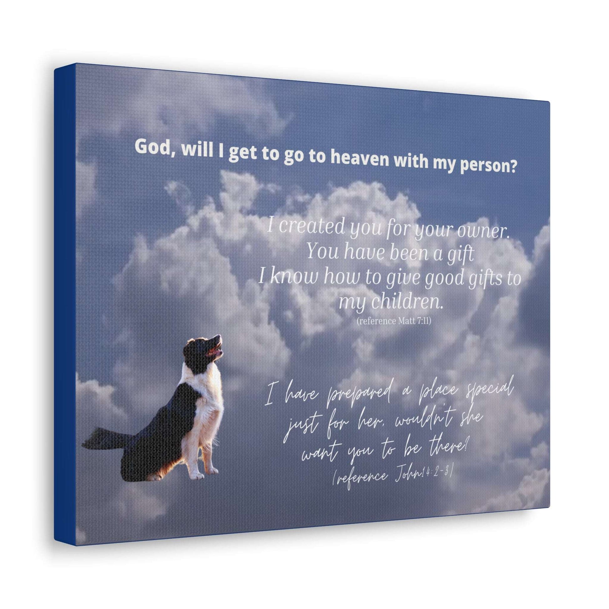 Dog Looks to the Clouds, Asking God If He'll Go to Heaven with His Person