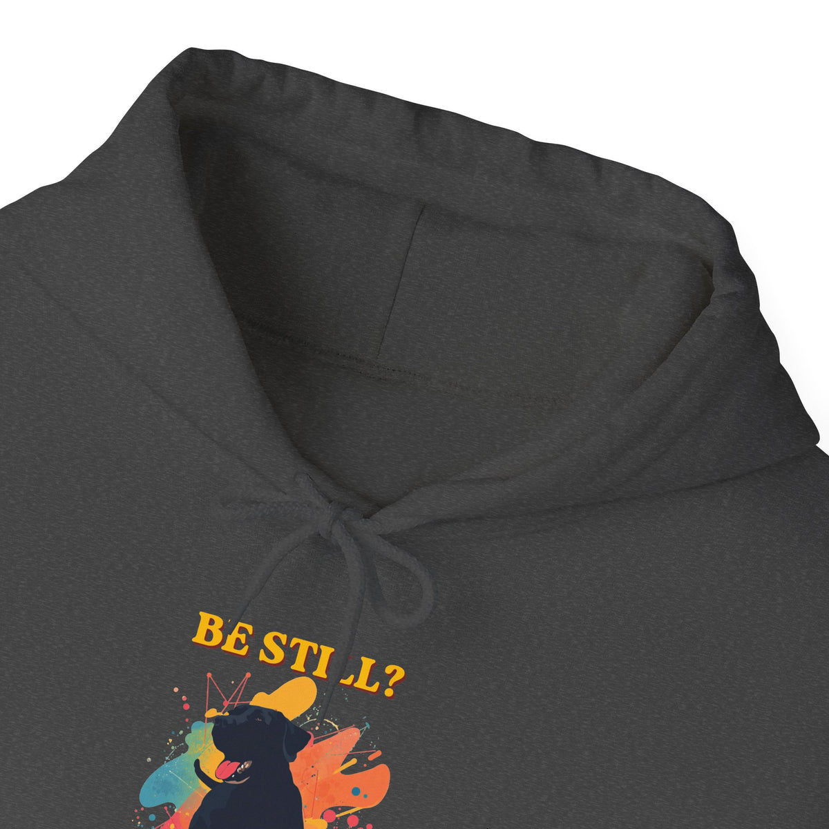 Be Still? My Lab Hears Be Silly Hoodie – Funny Labrador Lover Sweatshirt