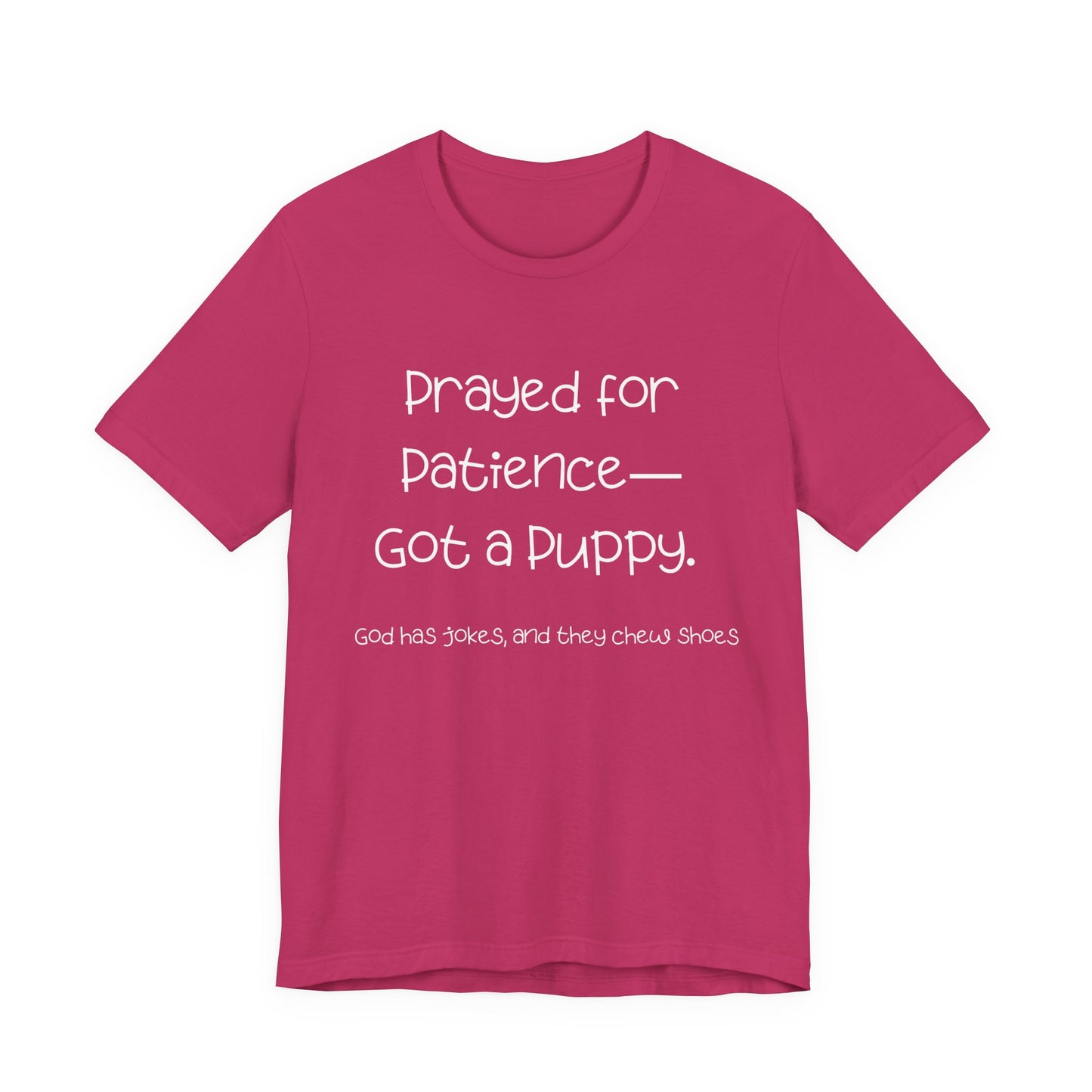 Funny Dog Lover T-Shirt – “Prayed for Patience, Got a Puppy” Christian Pet Humor Tee – God Has Jokes and They Chew Shoes