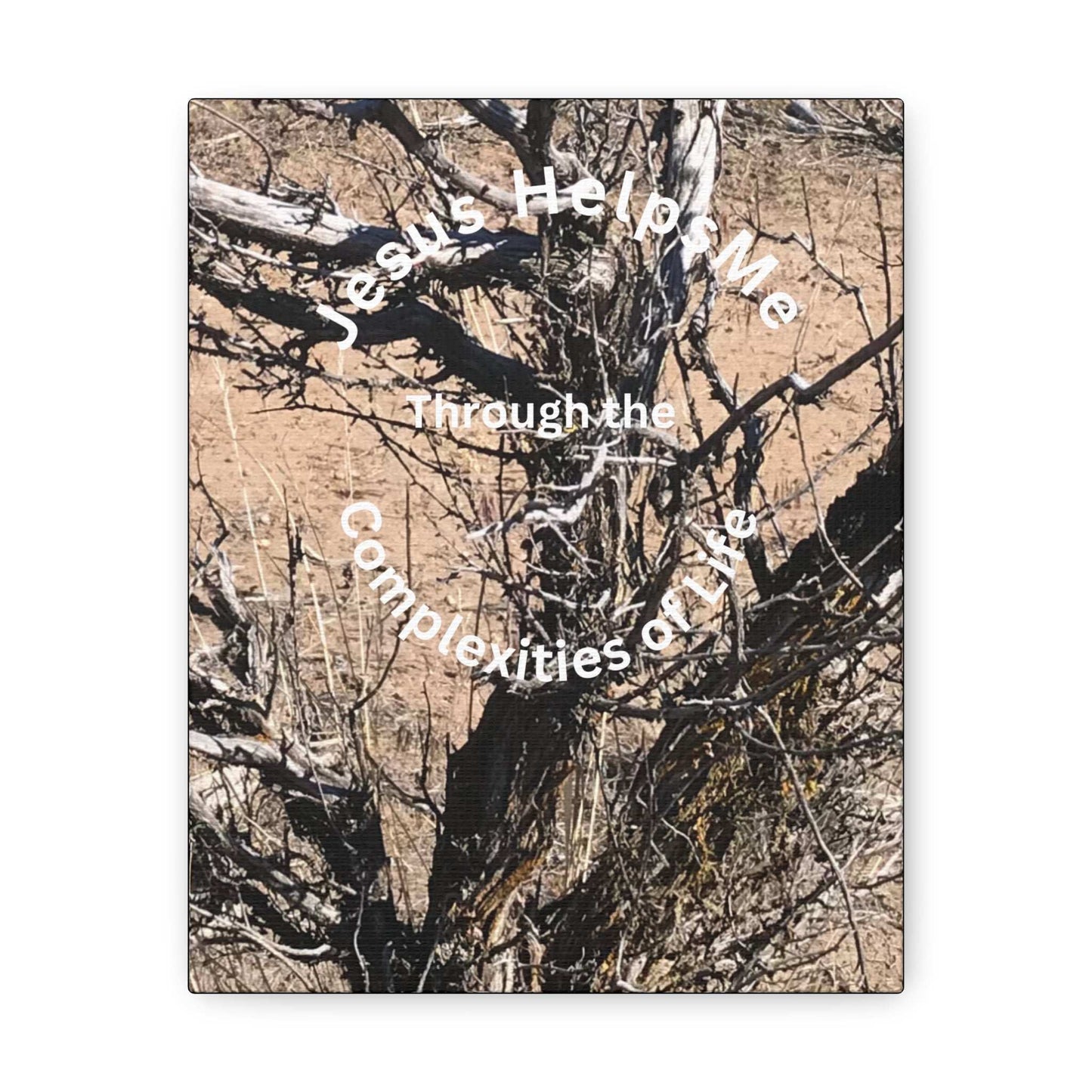 Canvas Art of a Gnarly Complex Tree with 'Jesus Helps Me Through the Complexities of Life' Quote