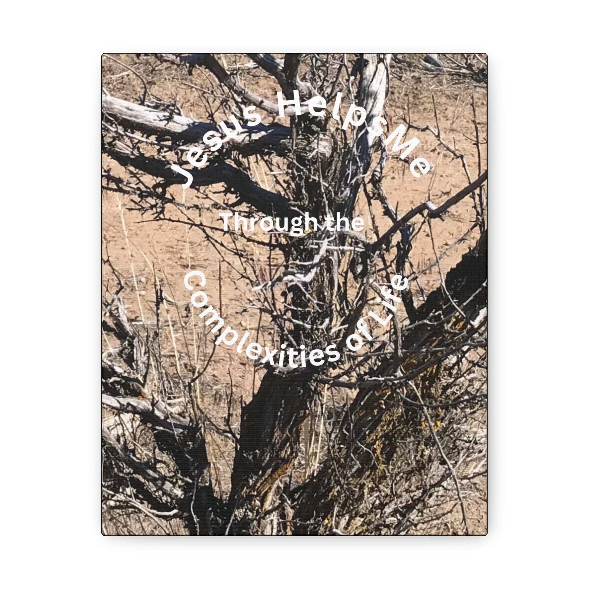 Canvas Art of a Gnarly Complex Tree with 'Jesus Helps Me Through the Complexities of Life' Quote
