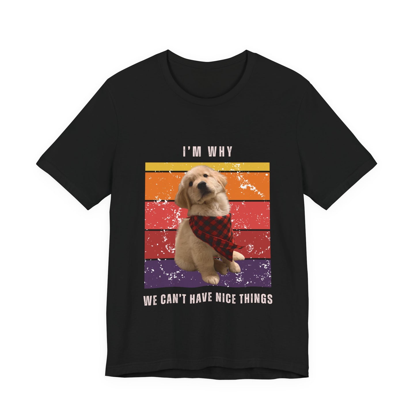 Retro Golden Retriever T-Shirt – “I’m Why We Can’t Have Nice Things” Funny Vintage Dog Lover Tee