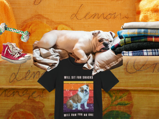 Retro Vintage English Bulldog T-Shirt – “Will Sit for Snacks, Will Run for No One” Funny Dog Lover Tee