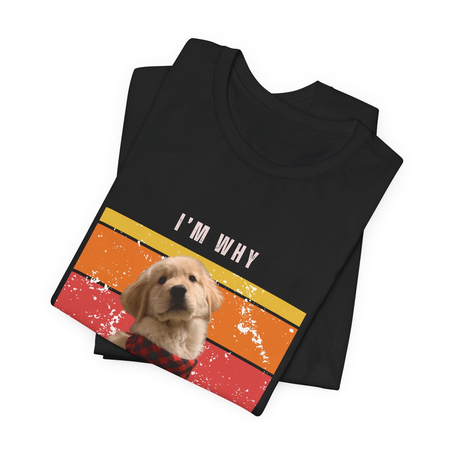 Retro Golden Retriever T-Shirt – “I’m Why We Can’t Have Nice Things” Funny Vintage Dog Lover Tee
