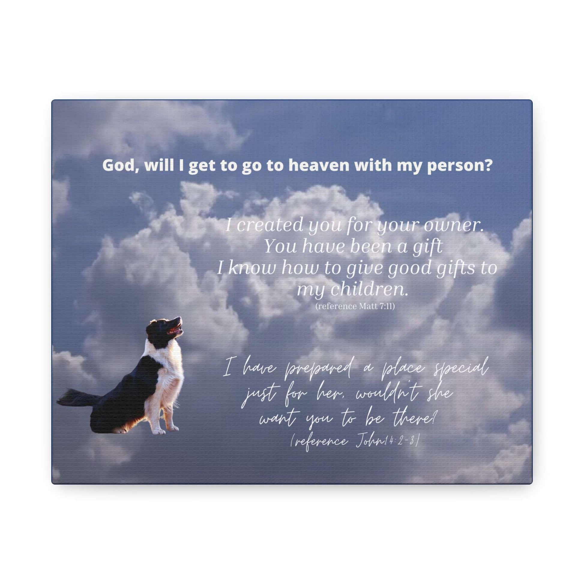 Dog Looks to the Clouds, Asking God If He'll Go to Heaven with His Person