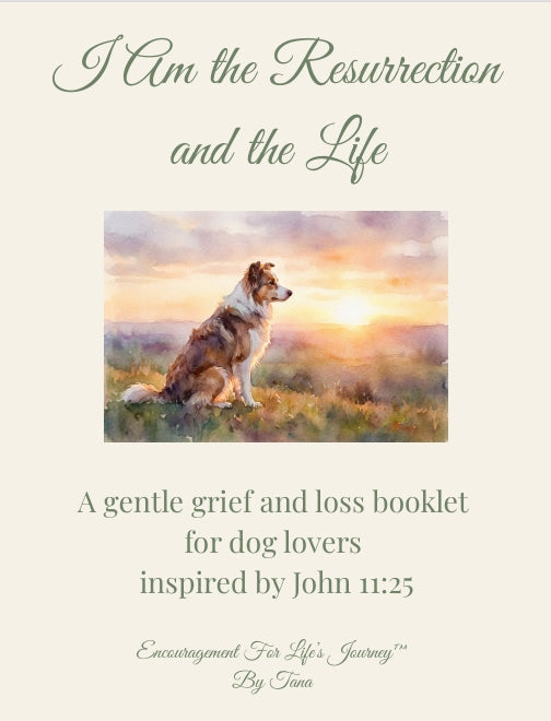 Comfort for Grief and Loss - 5 Booklet Collection