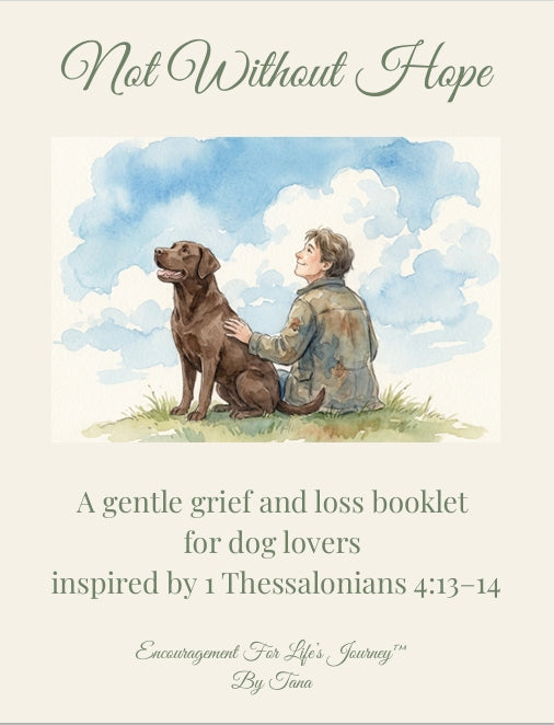 Comfort for Grief and Loss - 5 Booklet Collection